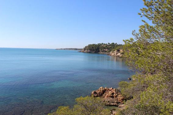 Casita De Pescadores Con Vista Al Puerto Lägenhet L'Ametlla de Mar Exteriör bild