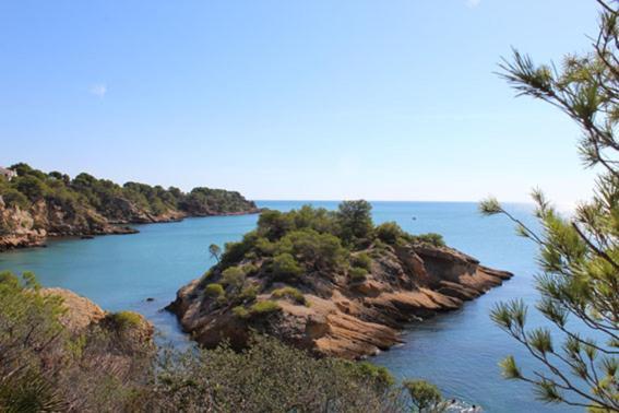 Casita De Pescadores Con Vista Al Puerto Lägenhet L'Ametlla de Mar Exteriör bild